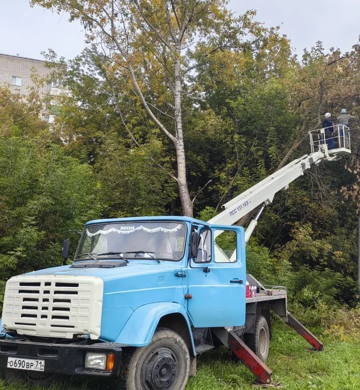 Спил дерева с использованием автовышки